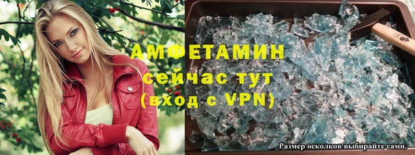 сатива Алзамай